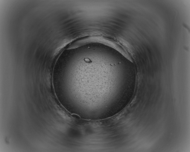 X0000091730345200709071505