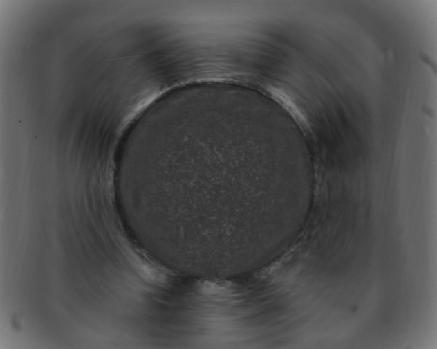 X0000091730346200709071505