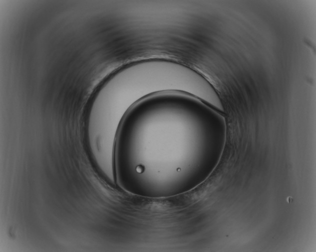 X0000091730350200709071505