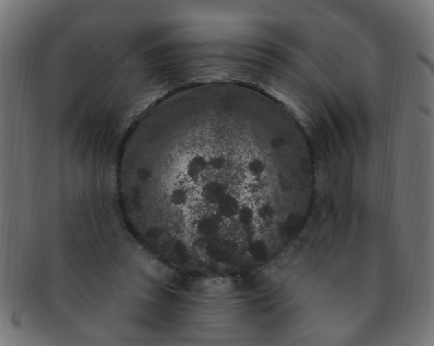 X0000091730353200709071505