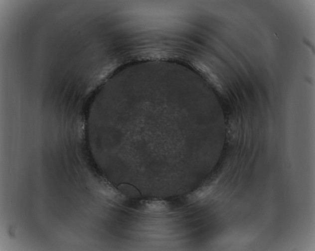 X0000091730355200709071505