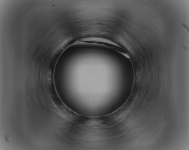 X0000091730356200709071505