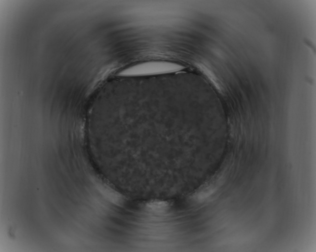 X0000091730357200709071505