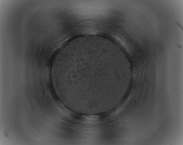 X0000091730359200709071505