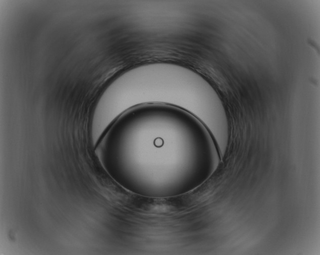 X0000091730360200709071505