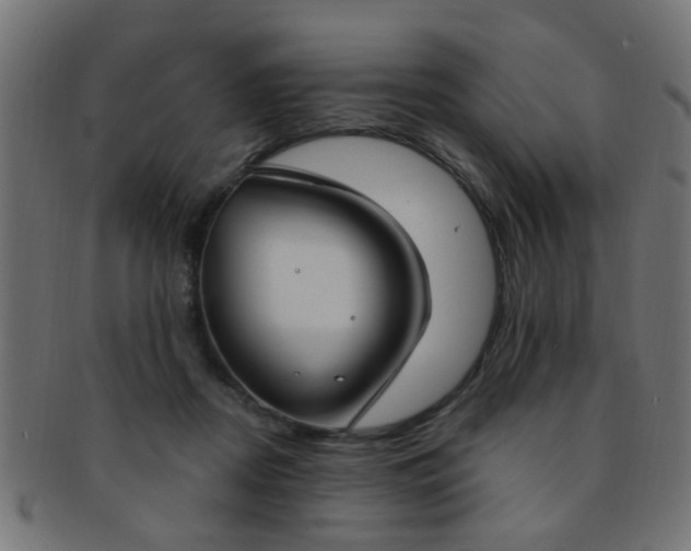 X0000091730362200709071505