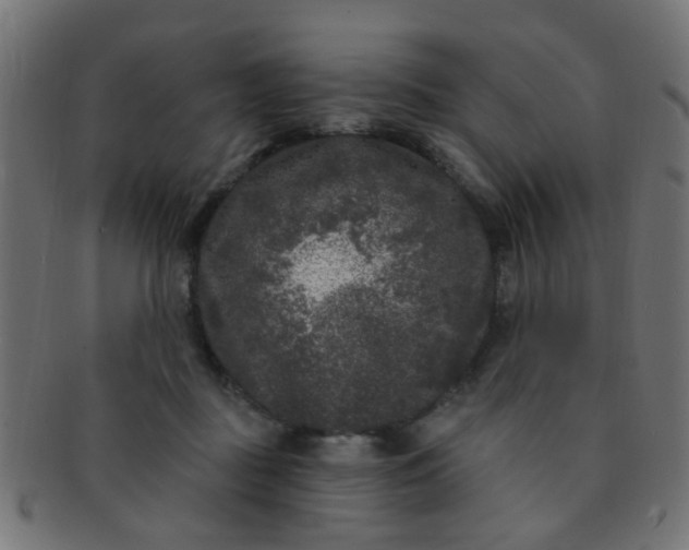 X0000091730363200709071505