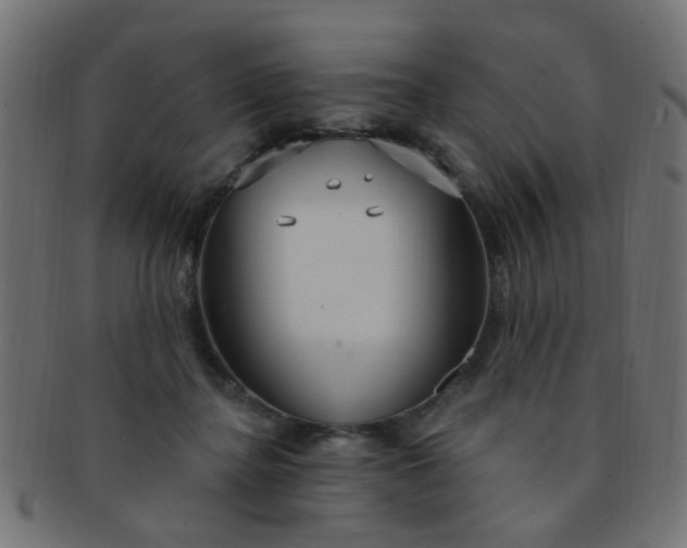 X0000091730364200709071505