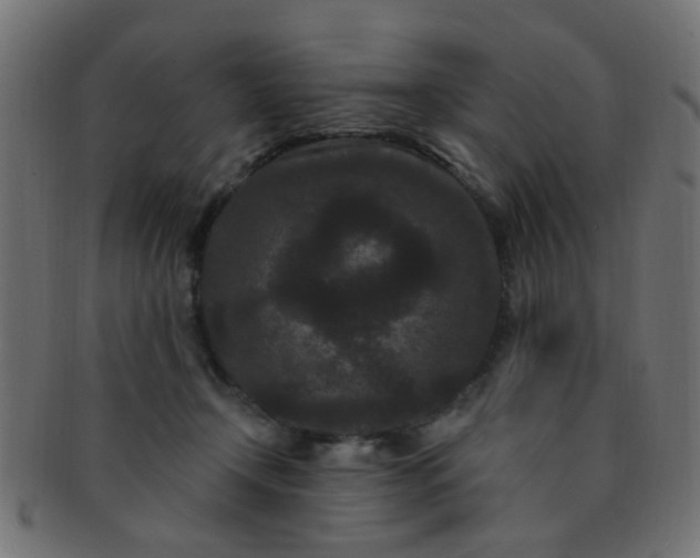 X0000091730366200709071506