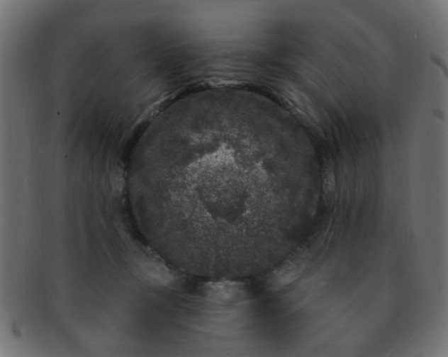 X0000091730367200709071506