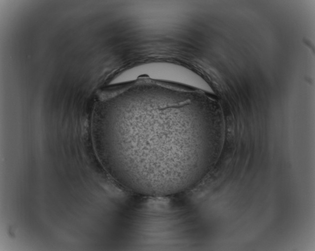 X0000091730369200709071506