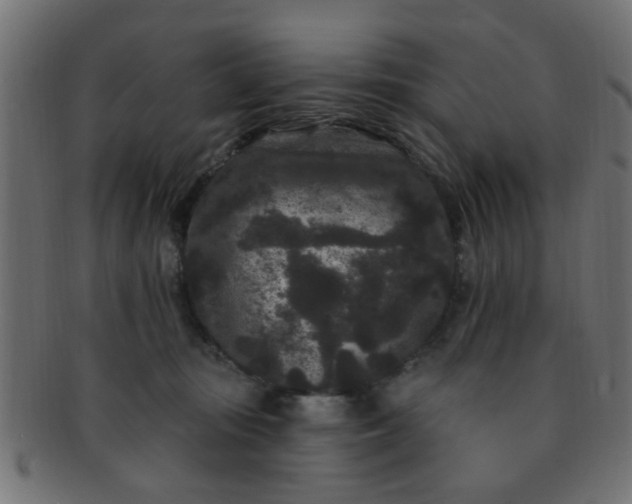 X0000091730371200709071506