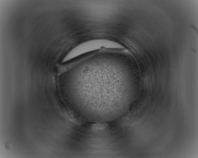 X0000091730373200709071506