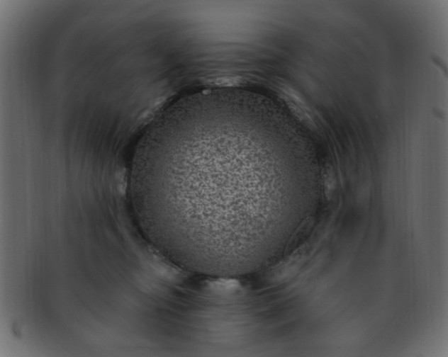 X0000091730374200709071506