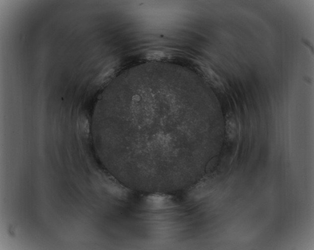 X0000091730375200709071506