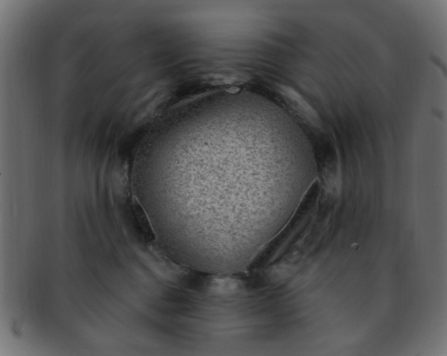 X0000091730376200709071506