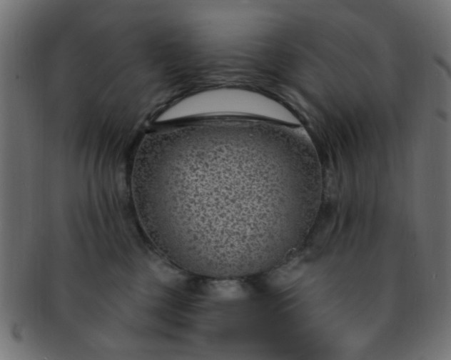 X0000091730377200709071506