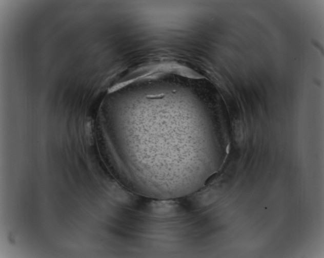 X0000091730378200709071506