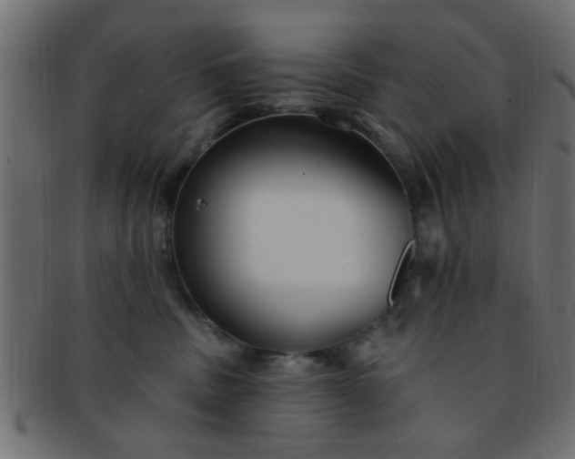 X0000091730379200709071506