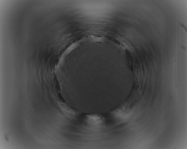 X0000091730380200709071506