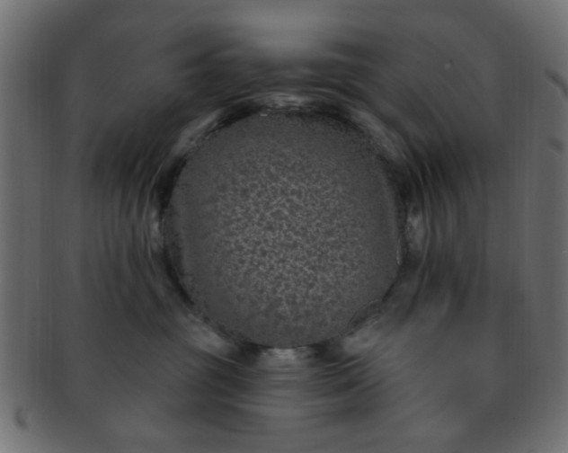 X0000091730381200709071506