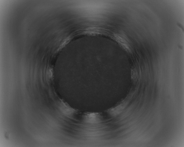 X0000091730382200709071506