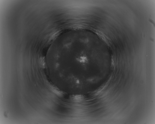 X0000091730383200709071506