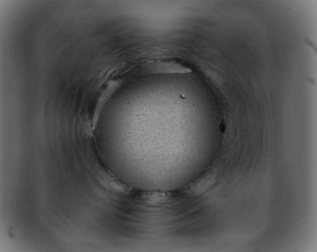 X0000091730384200709071506