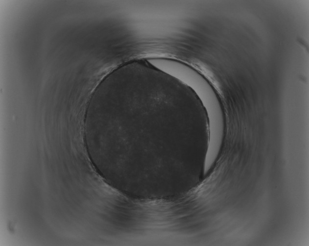 X0000091730385200709071505