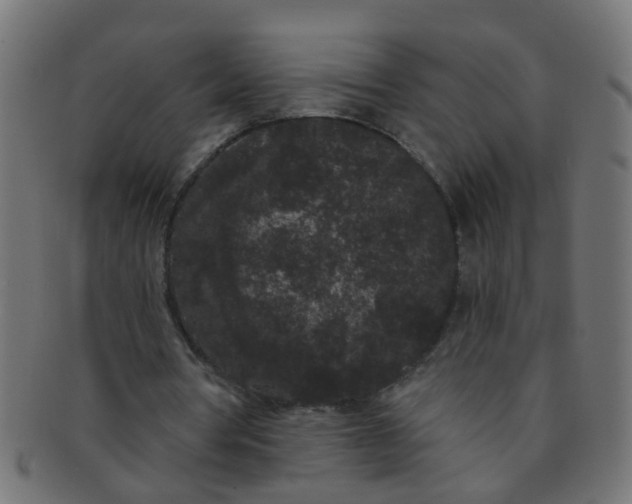 X0000091730386200709071505