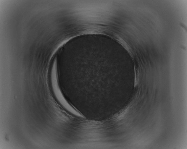 X0000091730387200709071505