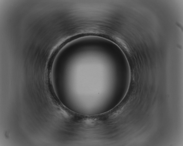 X0000091730388200709071505