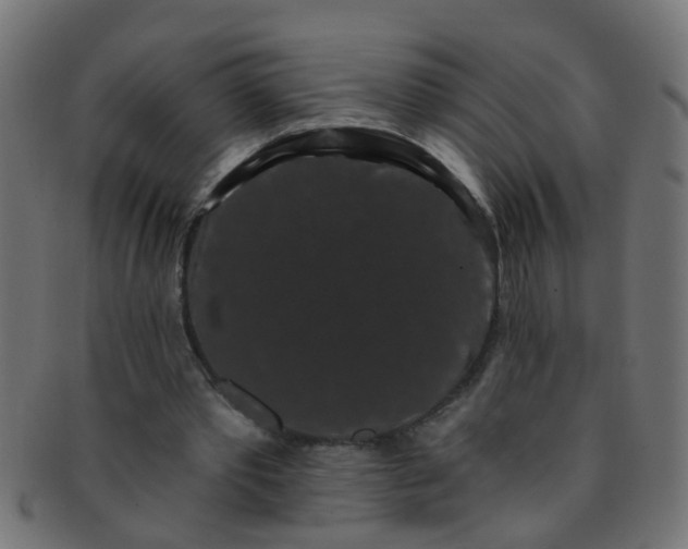 X0000091730389200709071505