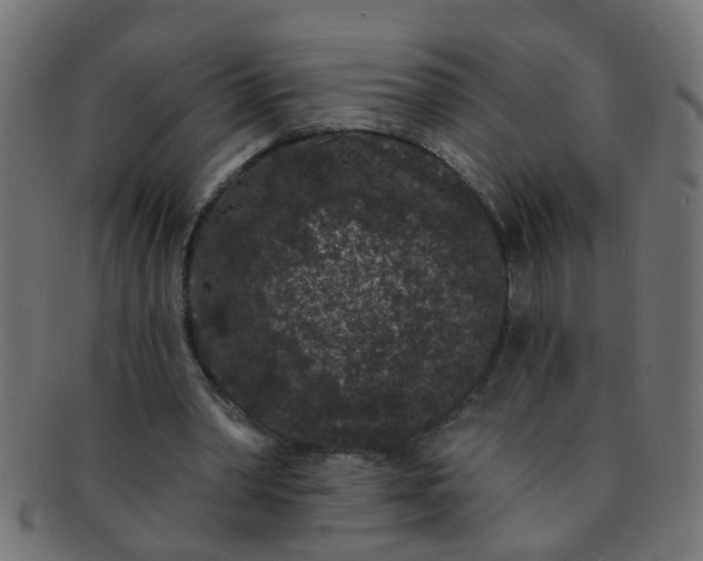 X0000091730390200709071505