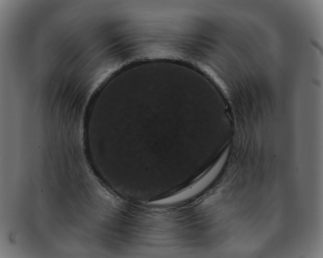 X0000091730391200709071505