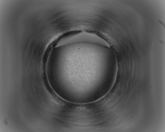 X0000091730392200709071505