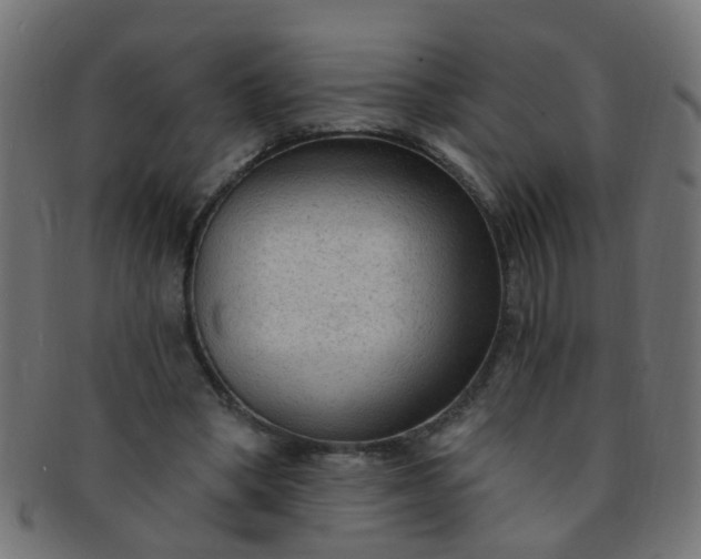 X0000091730394200709071505