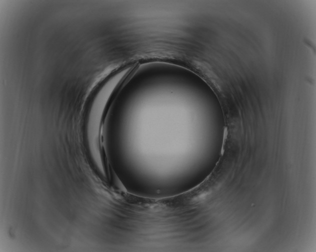 X0000091730395200709071505