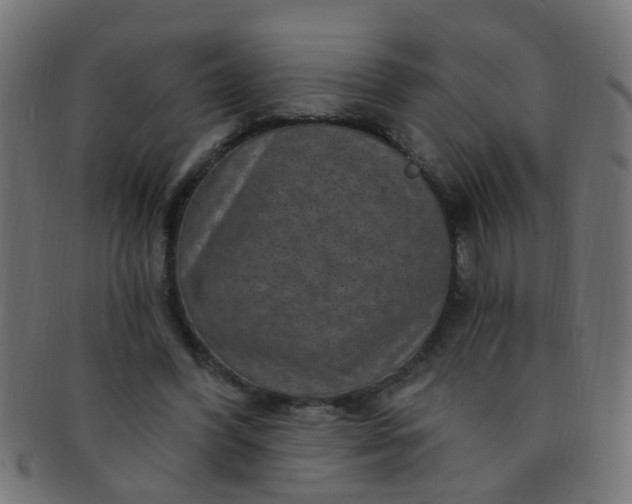 X0000091730396200709071505