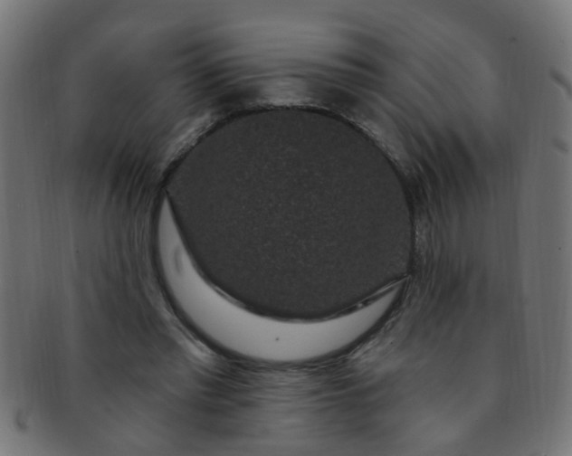 X0000091730397200709071505