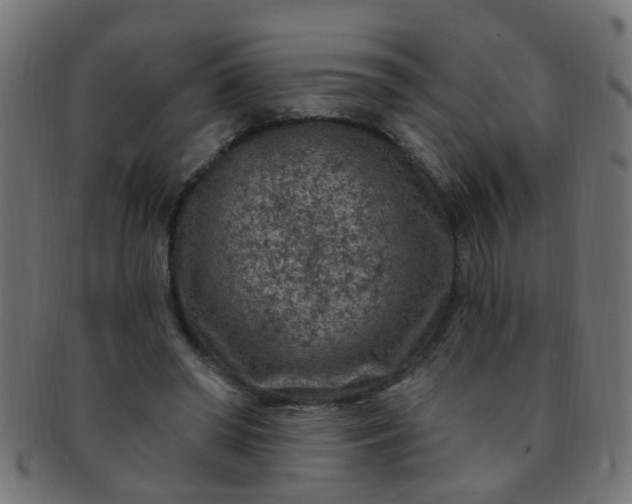 X0000091730398200709071505