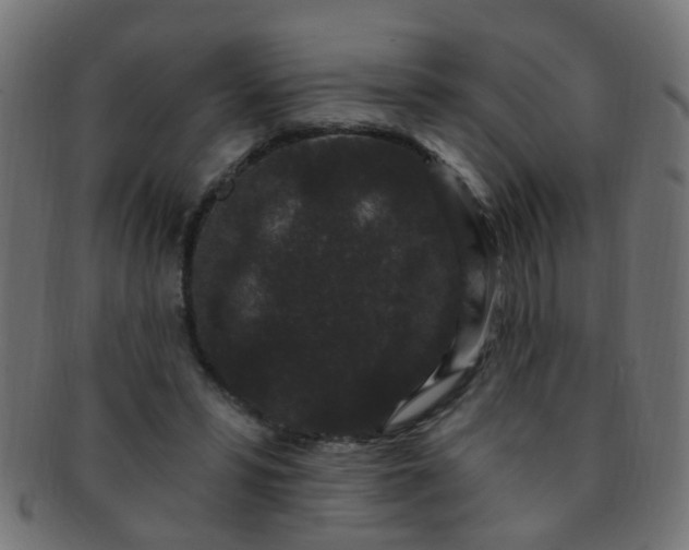 X0000091730399200709071505