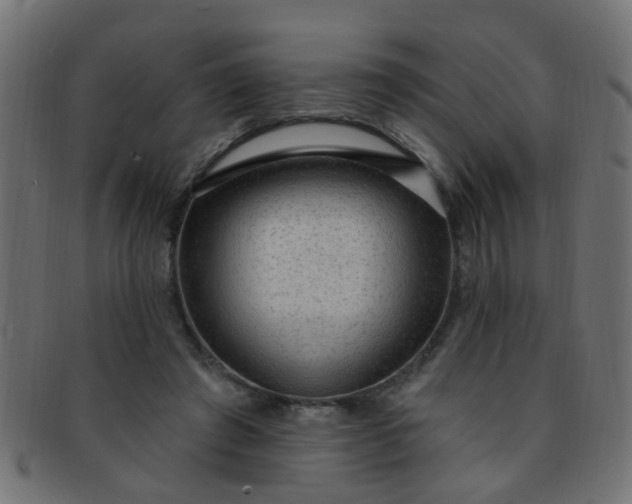 X0000091730401200709071505