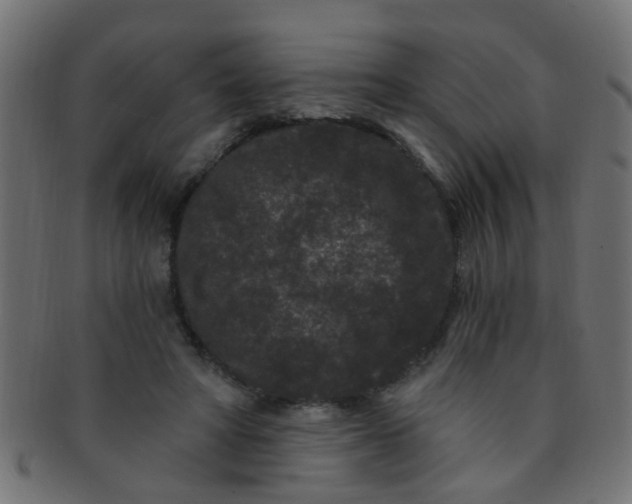 X0000091730402200709071505