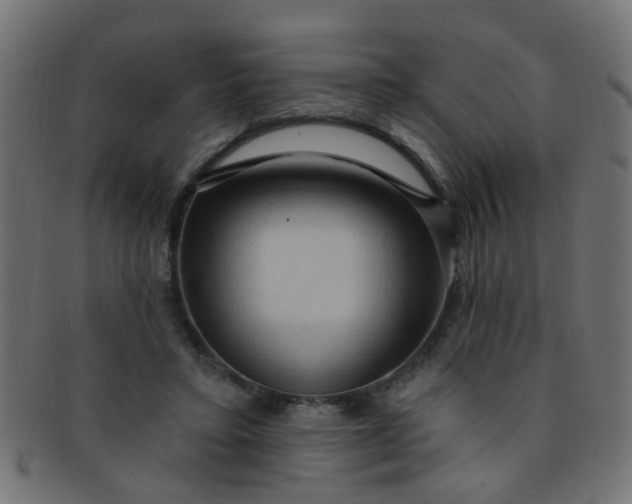 X0000091730403200709071505