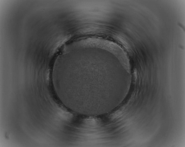 X0000091730404200709071505