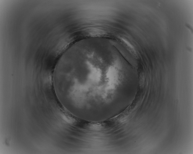 X0000091730405200709071505