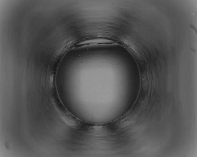 X0000091730406200709071505