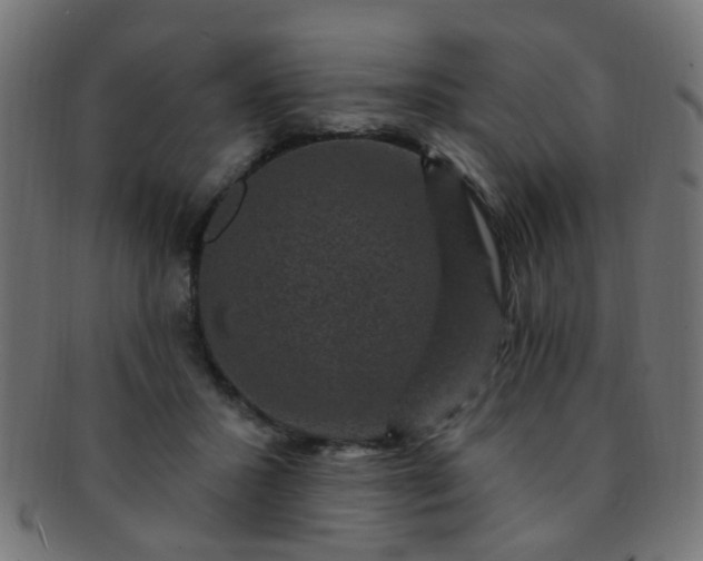 X0000091730407200709071505