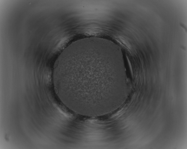 X0000091730408200709071505